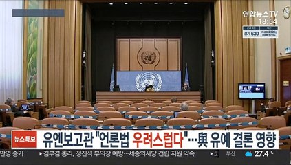 유엔보고관 "언론법 우려스럽다"…與 유예 결론에 영향
