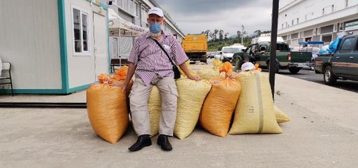 TMO, ORDU'DA FINDIK ALIMLARINA BAŞLADI
