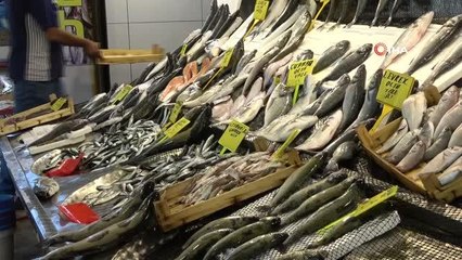 Tezgahlar istavritle doldu, balıkçıları palamut heyecanı sardı