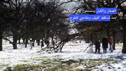 Скачать видео: ثلوج غير معهودة في جنوب غربي جنوب إفريقيا تفرح قلب السكان