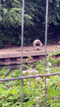 Bomb squad called to Northampton after fishermen discover grenade