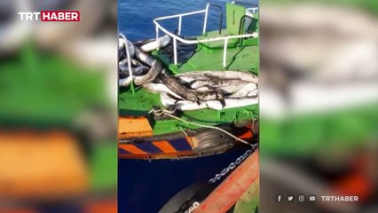Akdeniz'de sızıntıya karşı bariyerli önlem