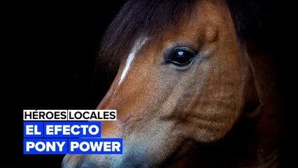 Héroes locales: terapias con ponis