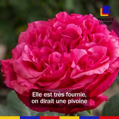 7 choses que vous ne saviez pas sur Audrey Fleurot