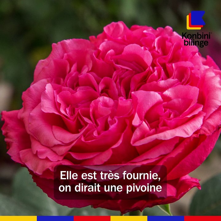 7 choses que vous ne saviez pas sur Audrey Fleurot