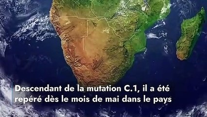 Covid-19 : le C.1.2., nouveau variant sud-africain qui inquiète les autorités !