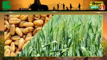 Agriculture News Bulletin : किसानों (Kisano) को आसानी से लोन (Loan) दिलाएगी PNB की ये नई स्कीम | कृषि लोन (Agricultural Loan) | Kisan Bulletin | Green TV