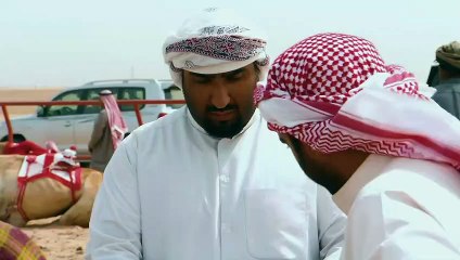 ألوان الشرق