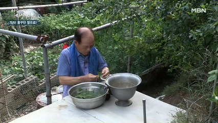 더위야 가라~! 여름 더위 잡아주고 소화기관에도 좋다는 OOO의 정체는?