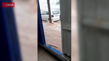 Inundacions Ebre III