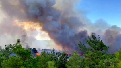 Çanakkale'de orman yangını! Havadan ve karadan müdahale sürüyor