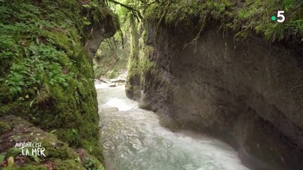 Au bout c'est la mer. Le Rhône