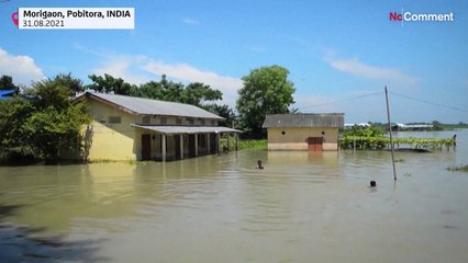 Floods in India's Assam force villagers and wildlife to flee