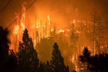 California'daki Caldor yangını 34 binden fazla yapıyı tehdit ediyor80 bin hektar alan küle döndü