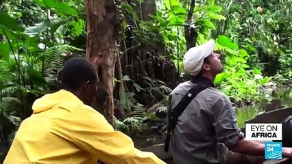Benin's rare swamp forest 'at risk of disappearing'