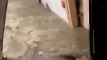 Apartment building flooded by Tropical Rainstorm Ida