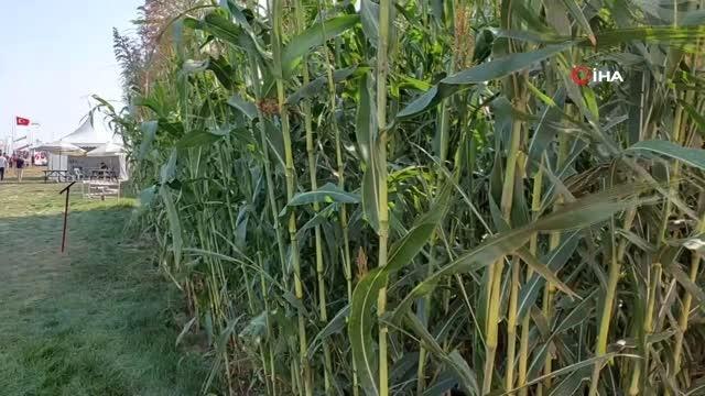 Tekirdağ'da Tarım ve Teknoloji Fuarı