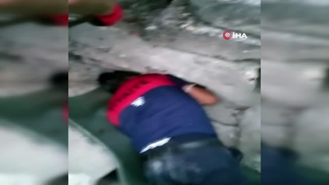 Son dakika haber! İtfaiyeciler taşların arasına düşen yavru köpekleri kurtarmak için 8 saat uğraştı