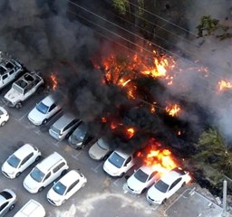 İsrail'de parkta çıkan yangın araçlara sıçradı