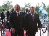 Dışişleri Bakanı Çavuşoğlu, Sırbistan Ulusal Meclisi Başkanı Daçiç ile görüştü