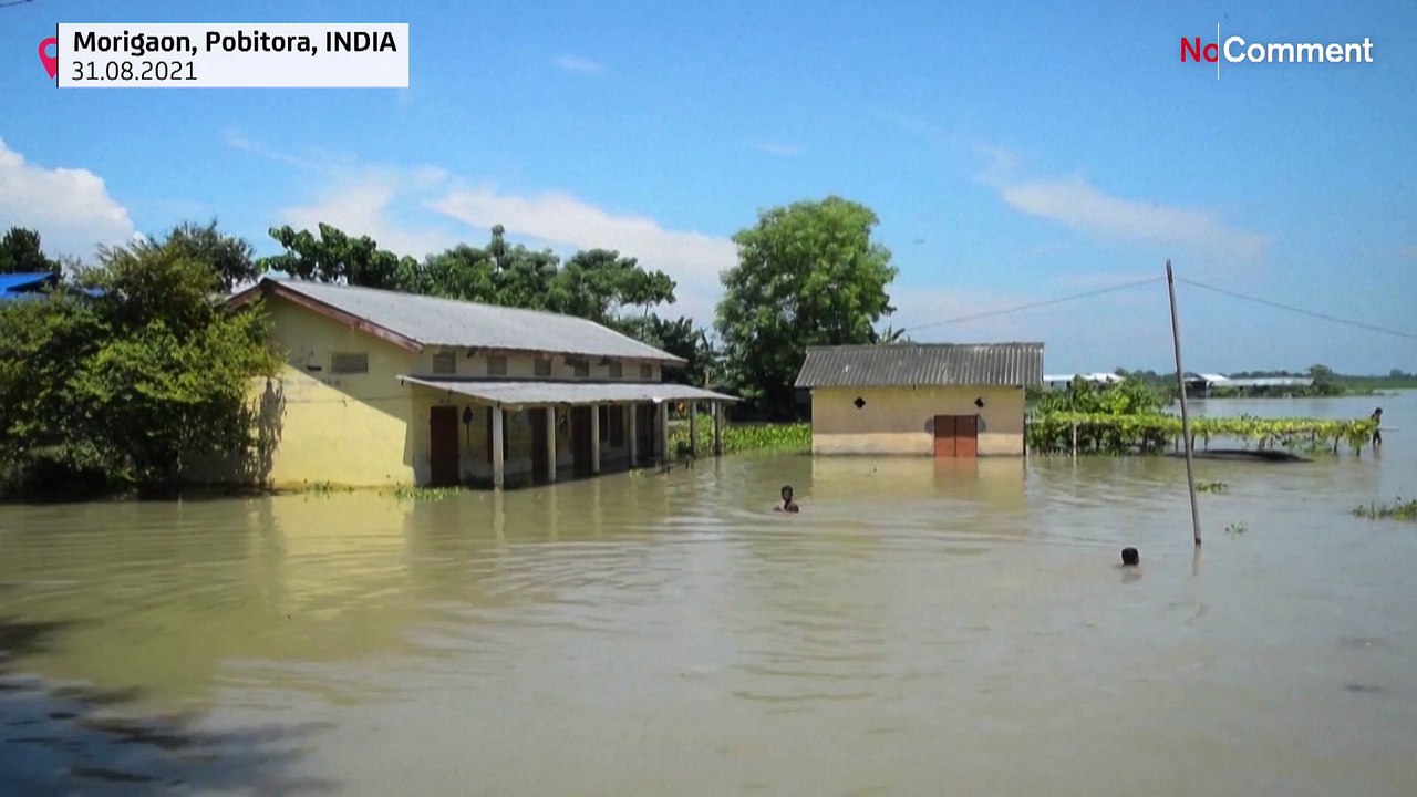 Indien: Mehr als drei Millionen von Monsun in Bihar betroffen