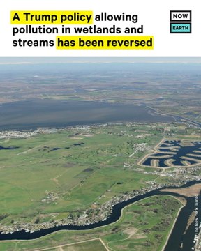 Trump Ruling Allowing More Pollution in Streams and Wetlands Gets Reversed