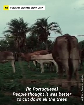 Fruit Pulp Cooperative Adapts to Changing Environment