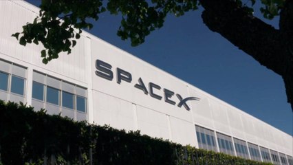 Elon Musk's SpaceX Is Hiring a 'Spaceport Mixologist'