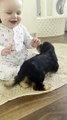Baby and New Puppy are Friends at First Sight