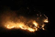 Son dakika haberleri! Şemdinli'de çıkan orman yangınına müdahale ediliyor