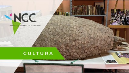 Un cronista de Jalisco conserva un fósil de gliptodonte de 3.9 millones de años