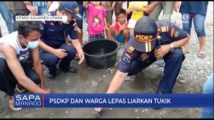 PSDKP Dan Warga Lepas Liarkan Tukik