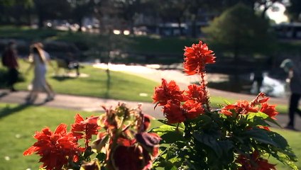 NSW Premier promises freedoms when state hits vaccination target