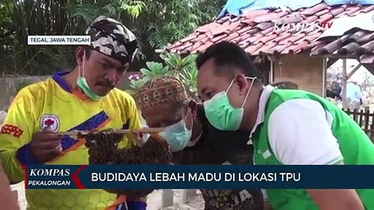Budidaya Lebah Madu di Lokasi TPU