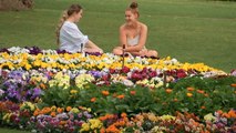 Toowoomba flower festival going ahead in southern Qld