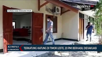 Terkatung-Katung di Timor Leste, 20 PMI Berhasil Dievakuasi