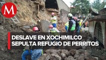 En CdMx, deslave sepulta a perros de refugio de animales en Xochimilco; 4 murieron