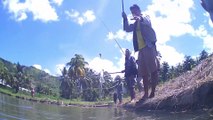 Fishing in a murky pond can get big and many fish | Mancing Mania