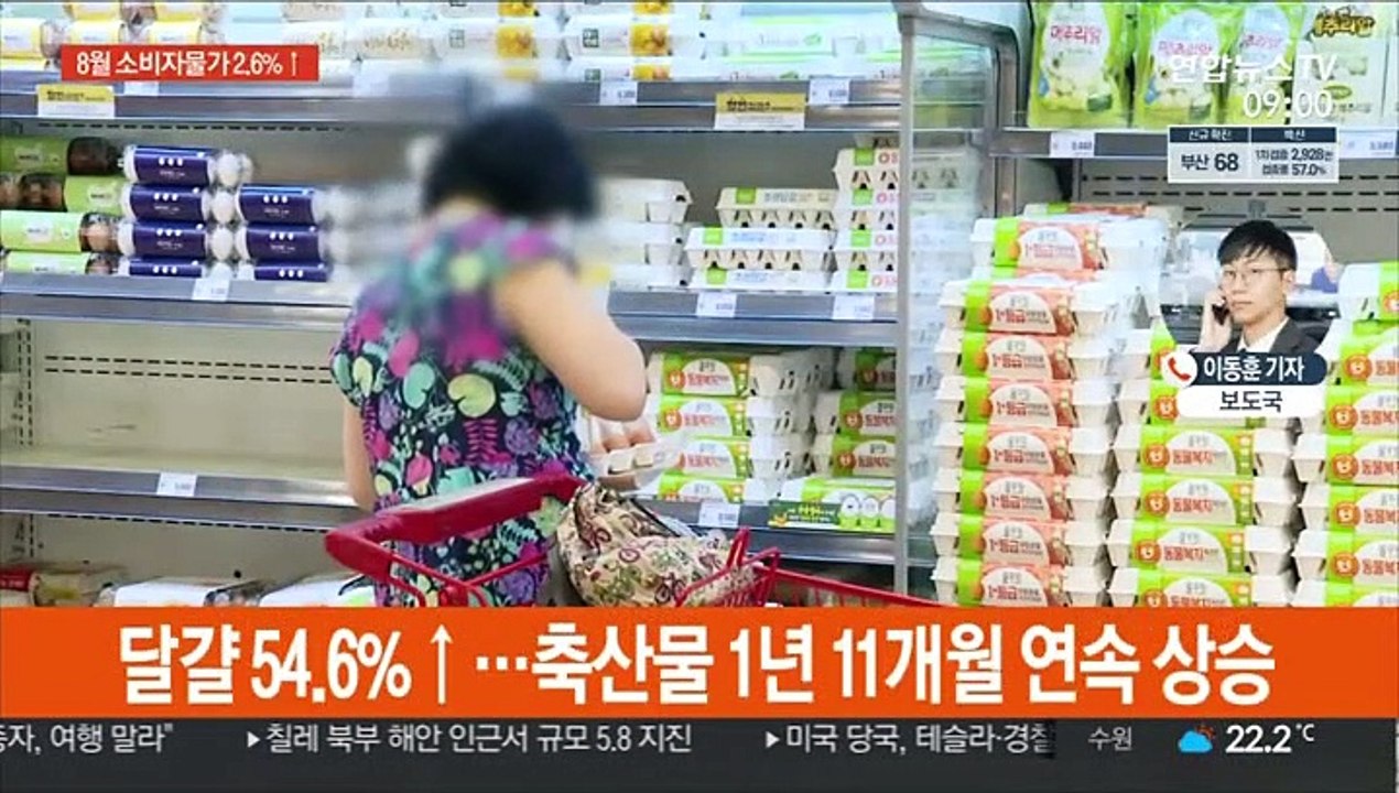 8월 소비자물가 2.6% 올라…5개월 연속 2%대
