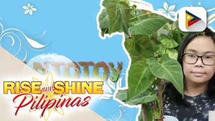 FEATURE: Isang 13 yrs. old na teenager may sariling plant business