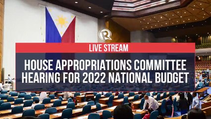 House committee hearing for DOE 2022 budget