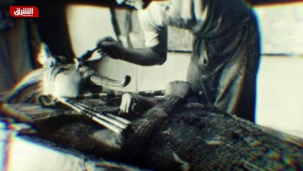 ...لا شك في أن وينستون تشرشل في امكانه التع...