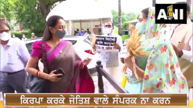 ਬੀਬਾ ਬਾਦਲ ਦਾ ਖੁੱਲ੍ਹਾ ਚੈਲੇਂਜ Harsimrat Kaur Badal Open Challenge to all | The Punjab TV