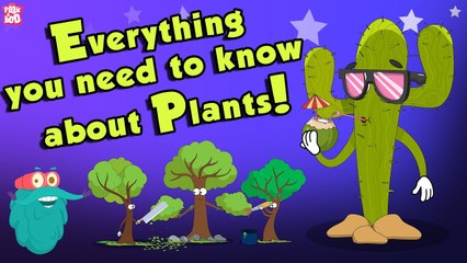 Descargar video: Everything You Need To Know About Plants | Source Of Oxygen | The Dr Binocs Show | Peekaboo Kidz