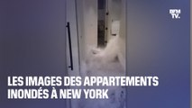 Inondations à New York: des habitants filment l'arrivée fulgurante de l'eau dans leur domicile