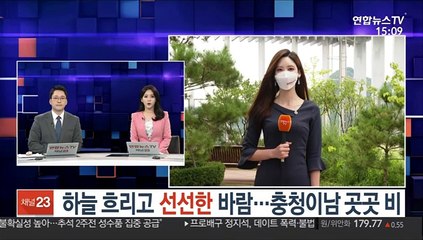 [날씨] 하늘 흐리고 선선한 바람…충청이남 곳곳 비