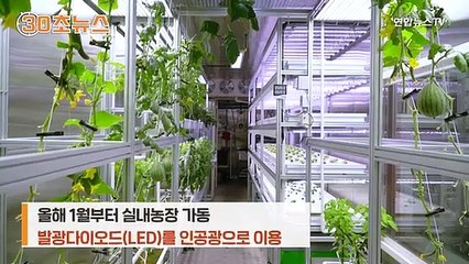 [30초뉴스] 영하 25도 남극에 수박이?…세종기지 실내농장서 재배