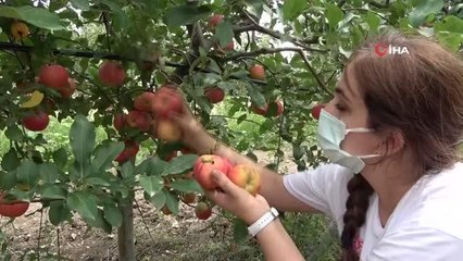 Okul bahçesinde yetiştirip ihtiyaç sahiplerine ulaştırıyorlar