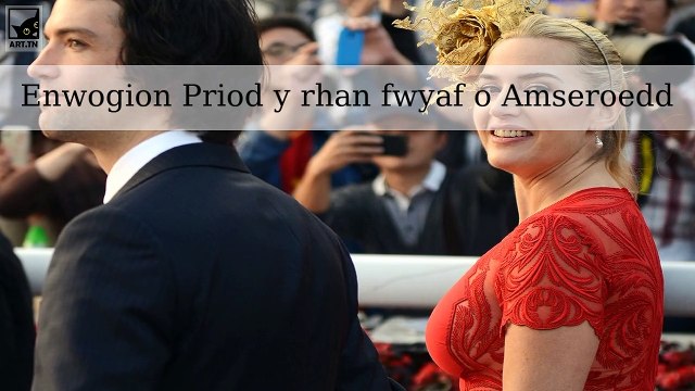 6 Enwogion Pwy sydd wedi bod yn briod y rhan fwyaf o Amseroedd