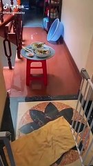 Ngỡ ngàng loạt mâm cơm của gia đình 5 F0: Sang chảnh hơn đi ăn hàng